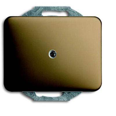 ABB 1742-21 Blindafdekking Afdekking Platina 1 stuk(s)