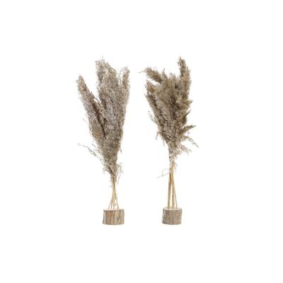 Decoratieve plant DKD Home Decor Veren PVC Vezel (35 x 25 x 55 cm) (2 Stuks)
