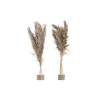 Decoratieve plant DKD Home Decor Veren PVC Vezel (35 x 25 x 55 cm) (2 Stuks)
