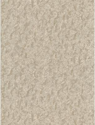 Dutch Wallcoverings Fusione - 45073514