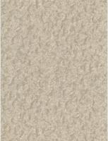 Dutch Wallcoverings Fusione - 45073514