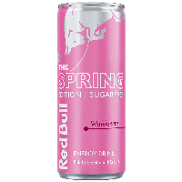 Red Bull Spring Edition Waldbeere