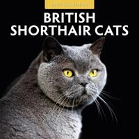 Brits Korthaar Kalender 2027