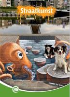 Straatkunst (Hardback)
