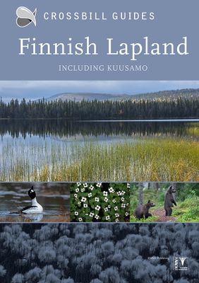 Crossbill Nature Guides Finnish Lapland and Kuusamo - Finland