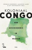 Koloniaal Congo - Amandine Lauro, Idesbald Goddeeris, Guy Vanthemsche - ebook
