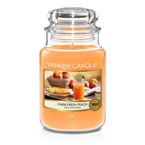 Yankee Candle Farm Fresh Peach kaars Cylinder Perzik Oranje 1 stuk(s)