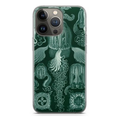 Haeckel Cubomedusae: iPhone 13 Pro Transparant Hoesje
