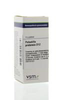 VSM Pulsatilla pratensis D12 (10 gr)