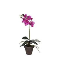 Mica Decorations Phalaenopsis Kunstplant - H48 x Ø13 cm - Paars