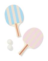 HEMA Tafeltennis Set