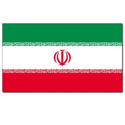 Feestartikelen Vlag Iran