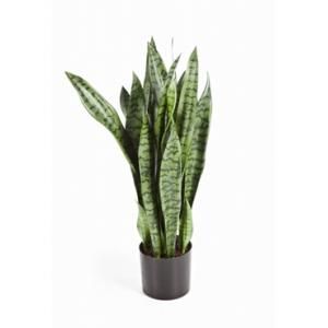 Kunstplant Sansevieria L