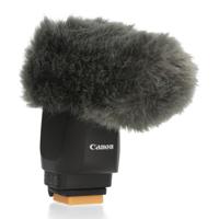 Canon DM-E1D