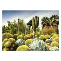 Ravensburger Legpuzzel huntington desert garden, 1000st.