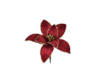 Poinsettia fluweel 13 cm ossenbloed