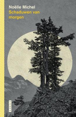 Schaduwen van morgen (Hardback)