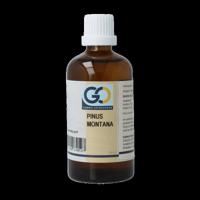 Pinus montana bio 100 Milliliter