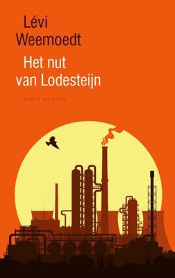 Het nut van Lodesteijn (Hardback)