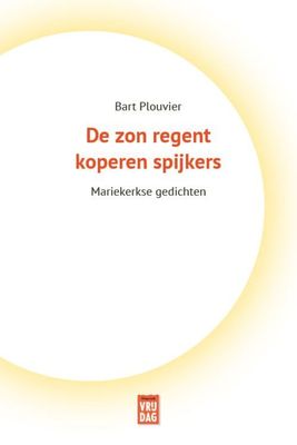 De zon regent koperen spijkers - Bart Plouvier - ebook