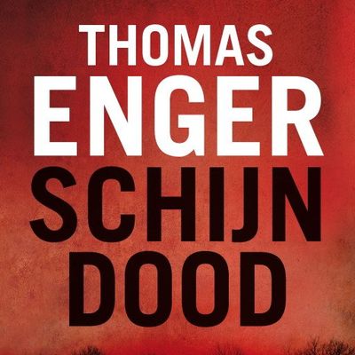 Schijndood