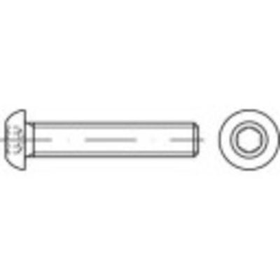 TOOLCRAFT TO-5381043 Lenskopschroeven M5 45 mm Binnenzeskant (inbus) RVS A4 500 stuk(s)