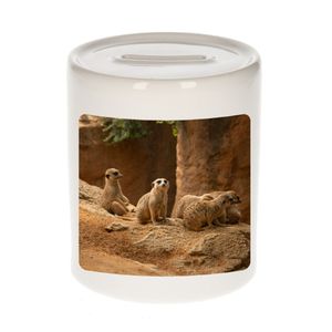 Dieren foto spaarpot stokstaartje 9 cm - stokstaartjes spaarpotten jongens en meisjes