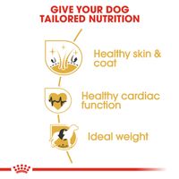 Royal Canin Golden Retriever Adult 3 kg Volwassen Gevogelte - thumbnail