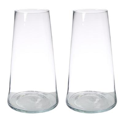 Hakbijl Glass Vaas Donna - Set van 2x stuks - transparant - glas - 35 x 18 cm