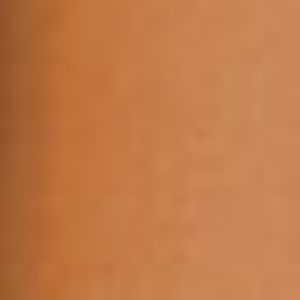 Surratt Beauty Automatique Lip Crayon