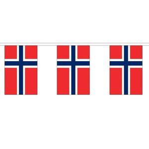 Stoffen vlaggenlijn Noorwegen 3 meter   -