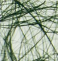 Vaessen Creative • sizoweb 5mx30cm in koker donkergroen