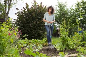 Gardena 17011-20 schop & plantenschopje Tuinspade spits Staal Zwart