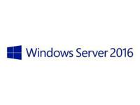 Microsoft Windows Server Std 2016 NL DSP