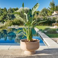 Sierpot Shannon Sierpot Shannon