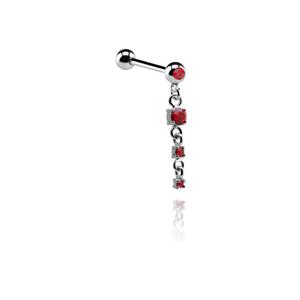 Jeweled Barbell with Charm Chirurgisch staal 316L / Belegde messing Barbells