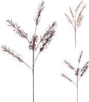 Tak grove 6-pluimen II kerst Nampook - Nampook