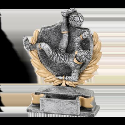 Sportprijzen Leiden Sport Trofee - Voetbal Omhaal