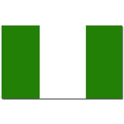 Vlag Nigeria van 90 x 150 cm - feestartikelen - Landen thema supporters