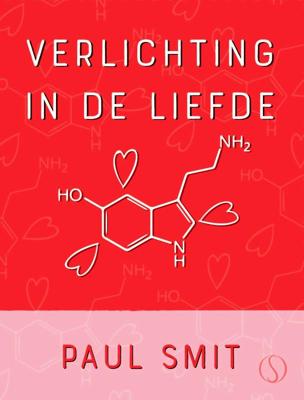 Verlichting in de liefde (Paperback)