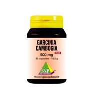 Garcinia cambogia 500mg puur