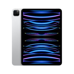 Apple iPad Pro 128 GB 27,9 cm (11") Apple M 8 GB Wi-Fi 6E (802.11ax) iPadOS 16 Zilver