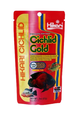 Hikari Cichlid Gold Baby
