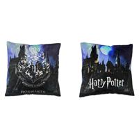 Harry Potter kussen - 40 x 40 cm Harry Potter kussen - 40 x 40 cm