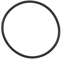 Bosch O-Ring for Mounting the Chainring (BDU3xx)