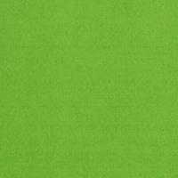 Vaessen Creative • vilt 3,5mm 30x45cm lichtgroen