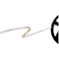 Barthelme Basic 60 51541134 LED-strip Met open kabeleinde 12 V 5 m Koudwit 1 stuk(s) - thumbnail