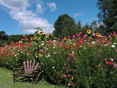 Bloemen stoel 70x50cm Tuinschilderij - Customize it