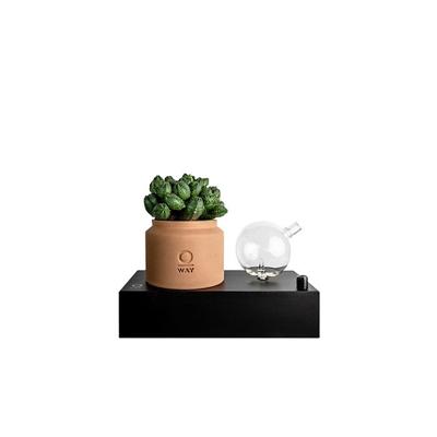 Oway Geurstokjes Lifestyle Room Fragrances Segno Diffuser 1Stuks