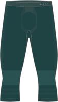 Falke Wool-Tech Legging Heren Holly L